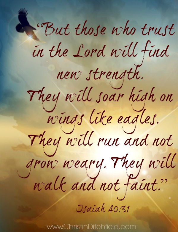 Those Who Trust in the Lord Isaiah 40:31
