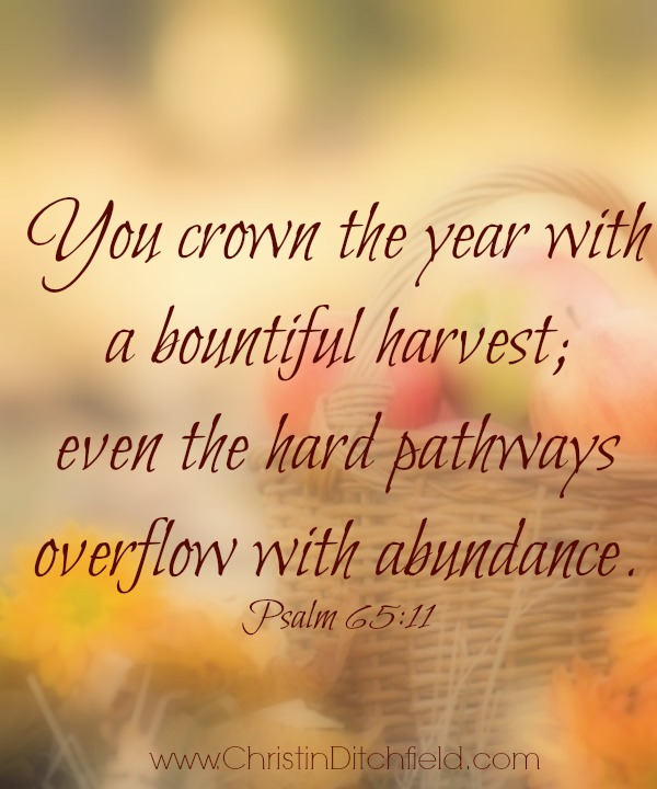 You crown the year Psalm 65:11