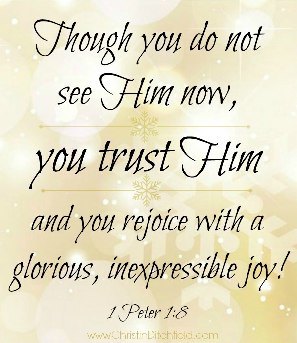 You trust Him and rejoice! 1 Peter 1:8