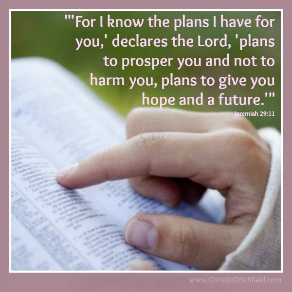 Jeremiah 29:11 Hope Scripture Graphic