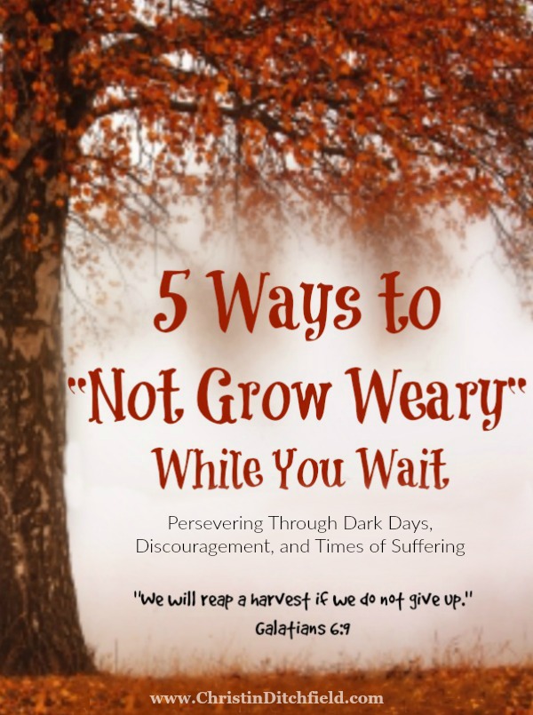 Five Ways to Not Grow Weary While You Wait by Christin Ditchfield 