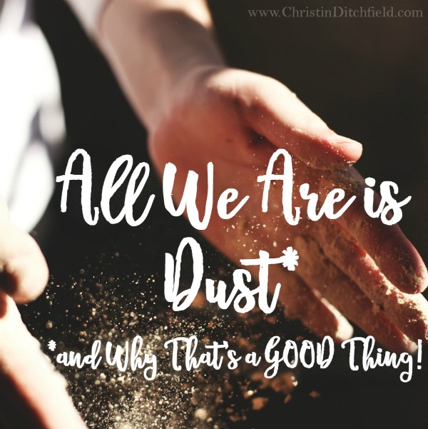 All We Are Is Dust and Why That's a Good Thing