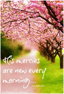 His mercies are new every morning!