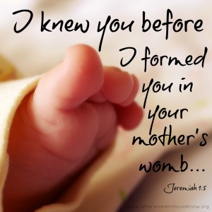 Mother's Womb Jeremiah 1.5