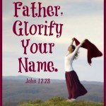 Father, Glorify Your Name: John 12:28