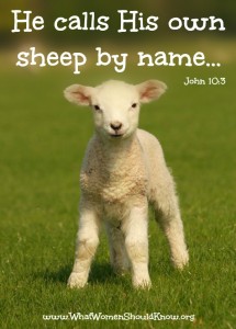 He Calls His Own Sheep By Name John 10.3