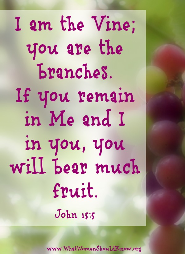 "I am the Vine..." John 15:5