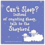 Talk to the Shepherd