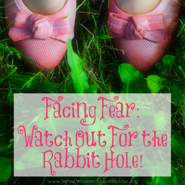 Watch Out For the Rabbit Hole!