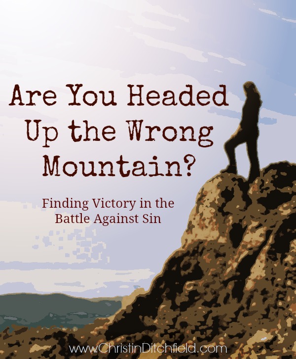 Are You Headed Up the Wrong Mountain?