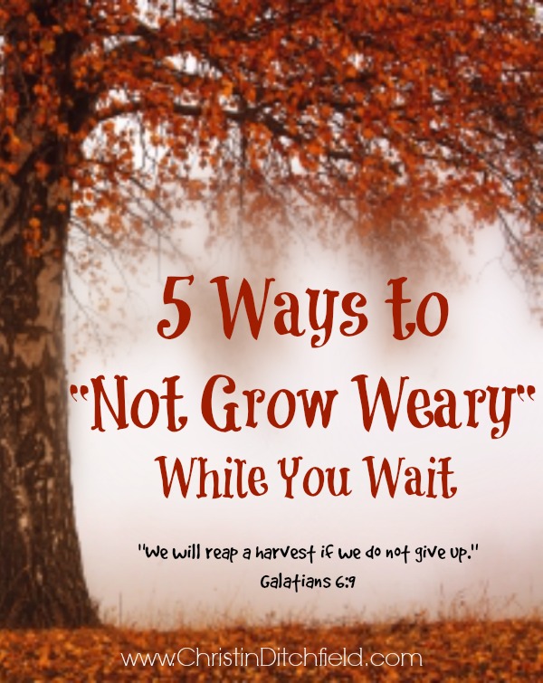 Five Ways to “Not Grow Weary” While You Wait