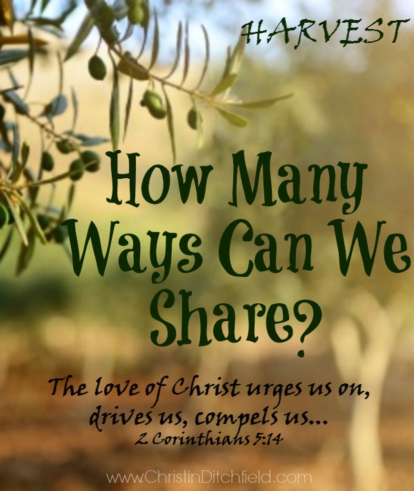 Harvest: How Many Ways Can We Share?