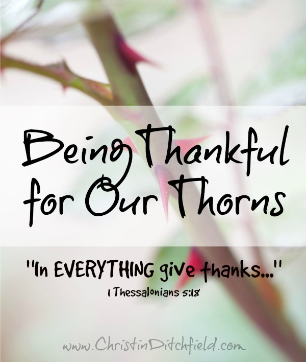 Being Thankful For Our Thorns