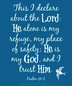 He alone is my refuge... Psalm 91:2