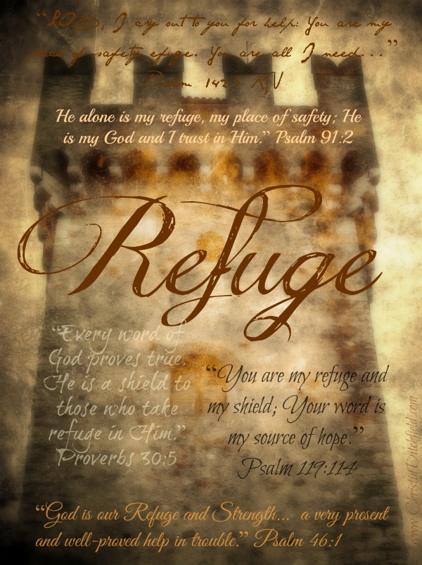 A Declaration of Dependence: He Alone Is My Refuge