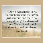 Hope Quote Anne Lamott