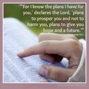 Jeremiah 29:11 Hope Scripture Graphic