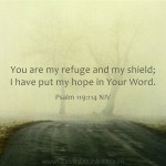 Psalm 119:114 Hope