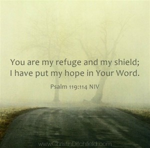 Psalm 119:114 Hope