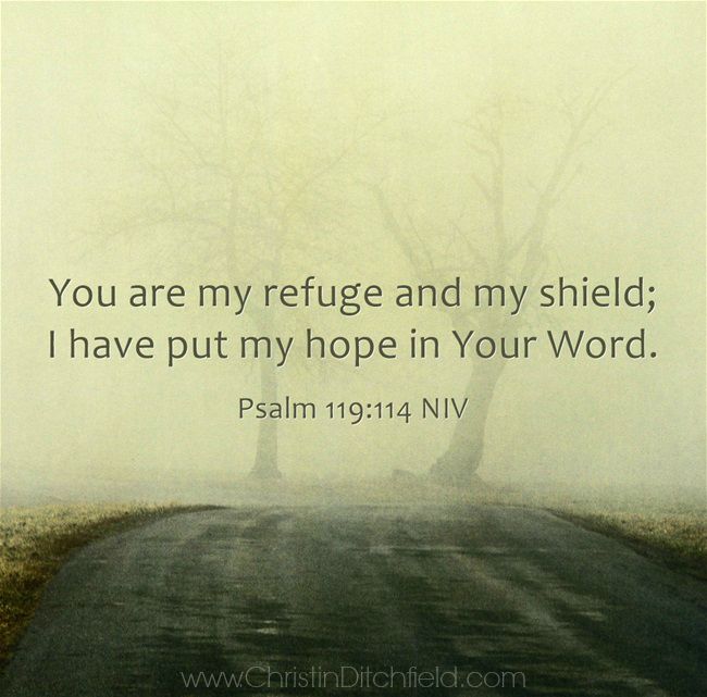 Psalm 119:114 Hope Scripture Graphic