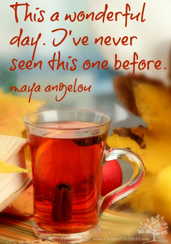 A Wonderful Day Maya Angelou