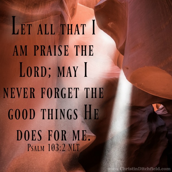 May I Never Forget the Good Things Psalm 103