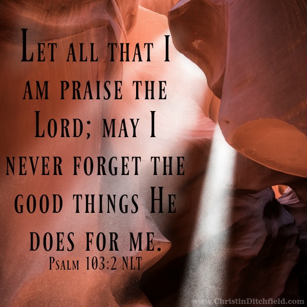 May I Never Forget the Good Things Psalm 103