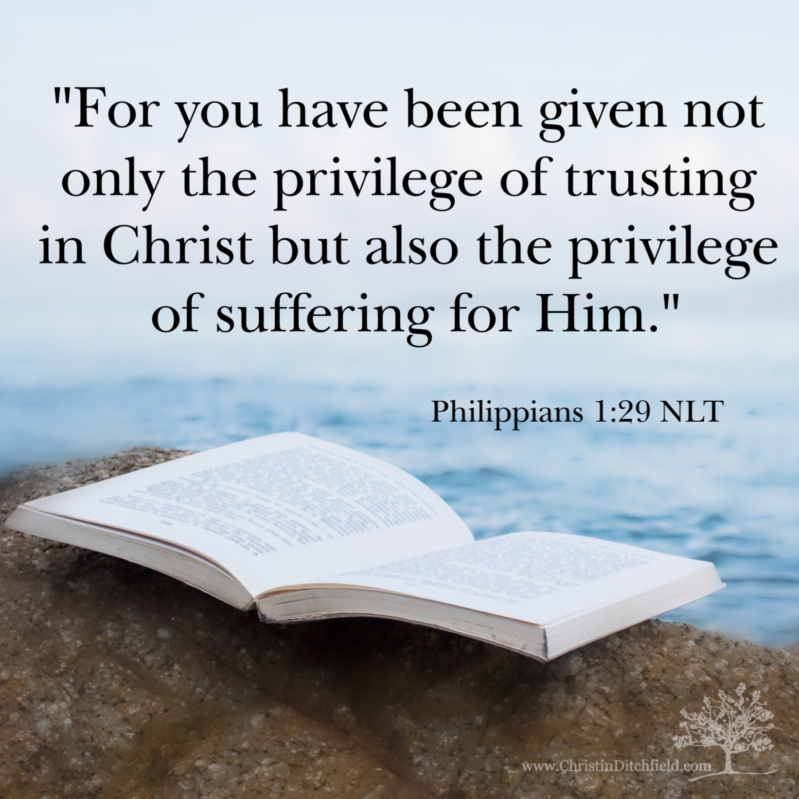 Philippians 1:29